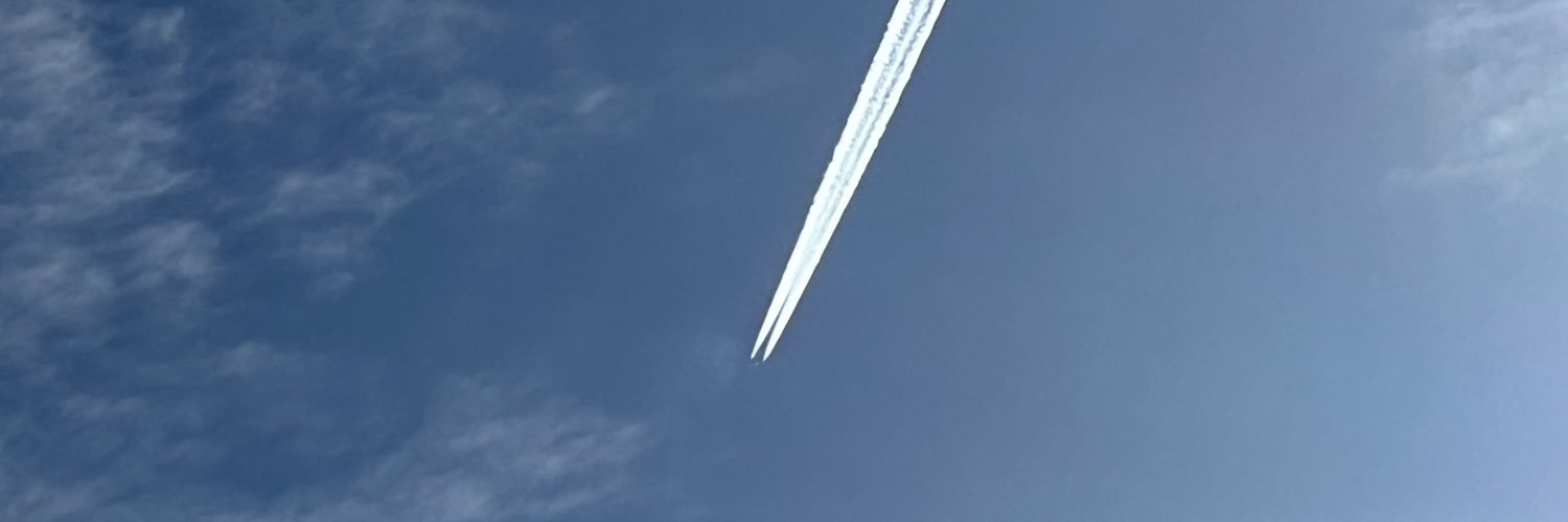 sittig banner