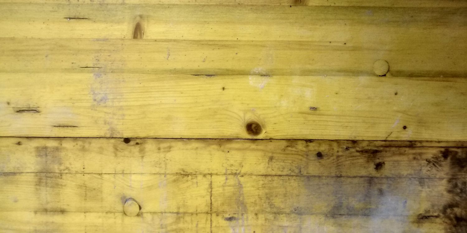 Candy Shop 🐦 banner