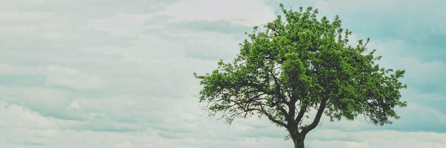 ArborealHumani1's profile banner image