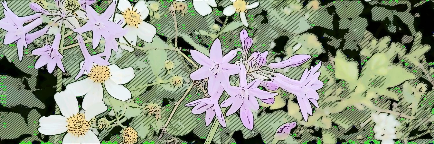 B7Lin_Kuriii's profile banner image