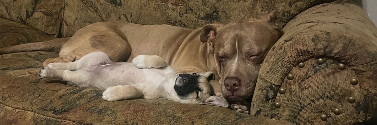 The_WorldIsUrs's profile banner image