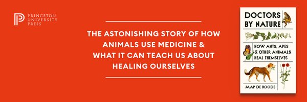 Jaap_de_Roode Profile Banner