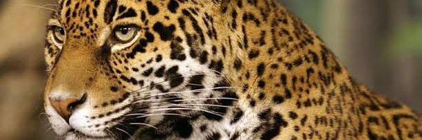JosephB69817301's profile banner image