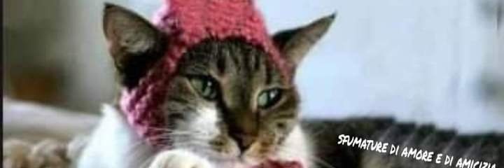 criss2661's profile banner image