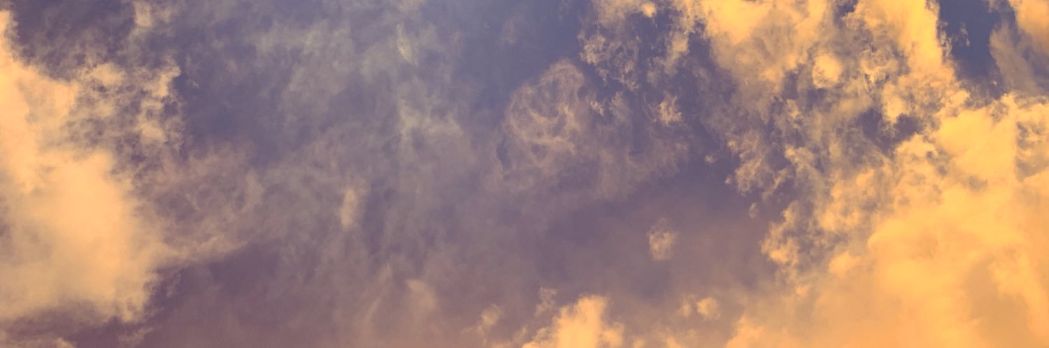 TarynePaige's profile banner image