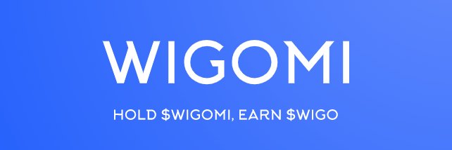 WIGONNA MAKE IT banner