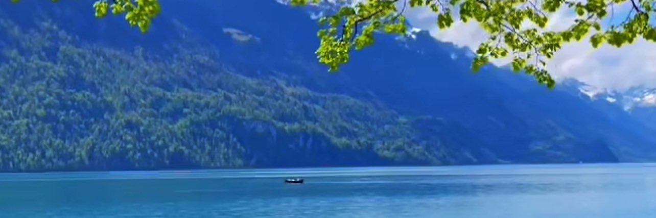 pemom |STEPNer banner