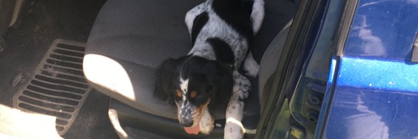 Trinity_Diablo Profile Banner