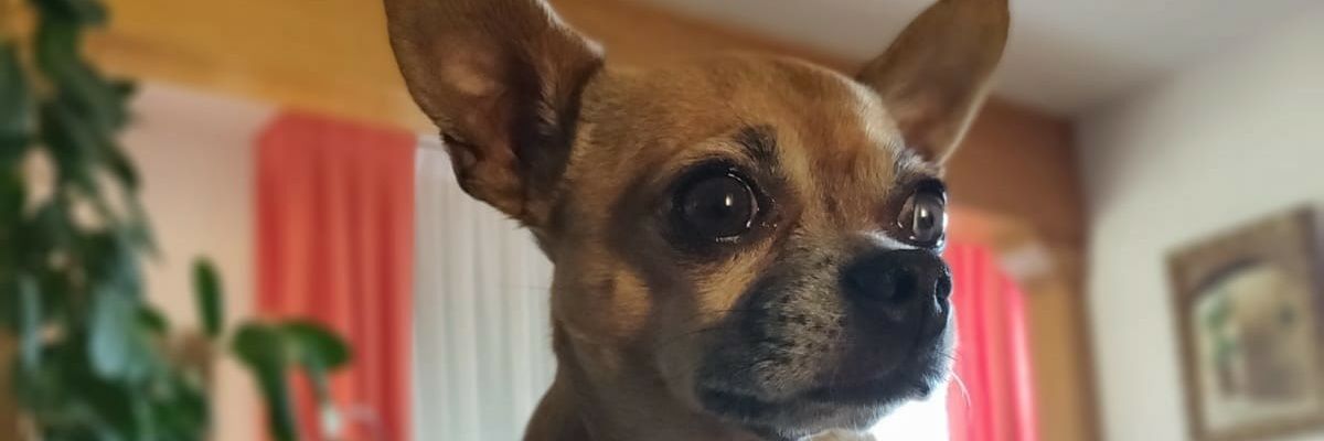 androtex's profile banner image