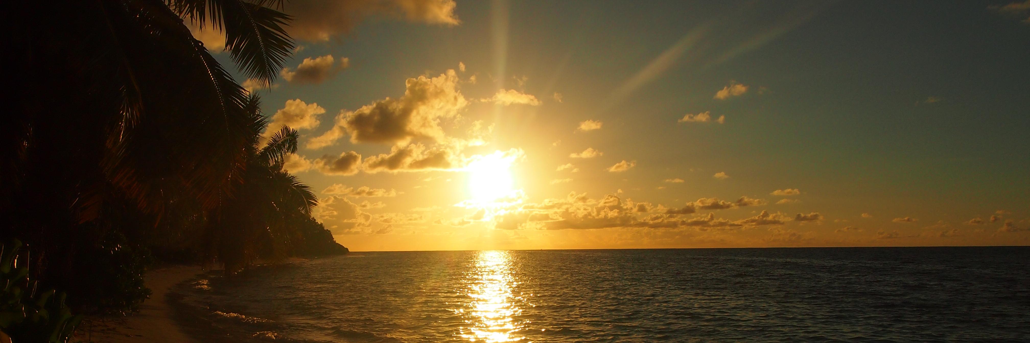 SmalljenSmall's profile banner image