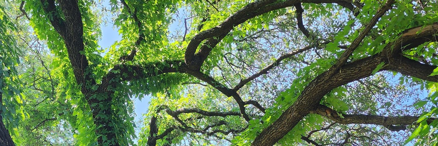 Dr. Van Nostrand banner