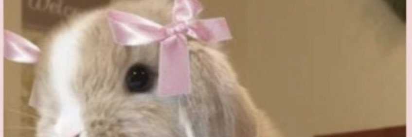Bb banner