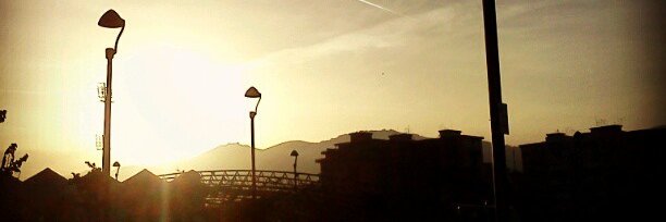 g_cangemi's profile banner image