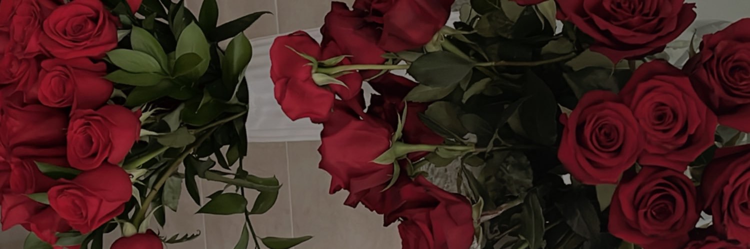 boliviaaaaaaa's profile banner image
