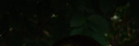 Тимур Рофлов ⌘🛠️ banner