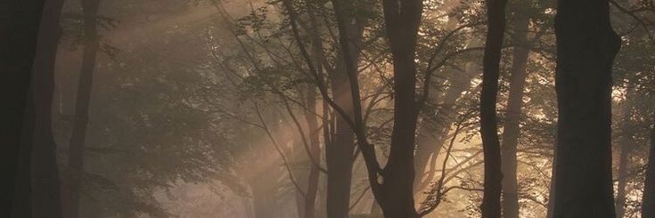 venka ★recovery ★ banner