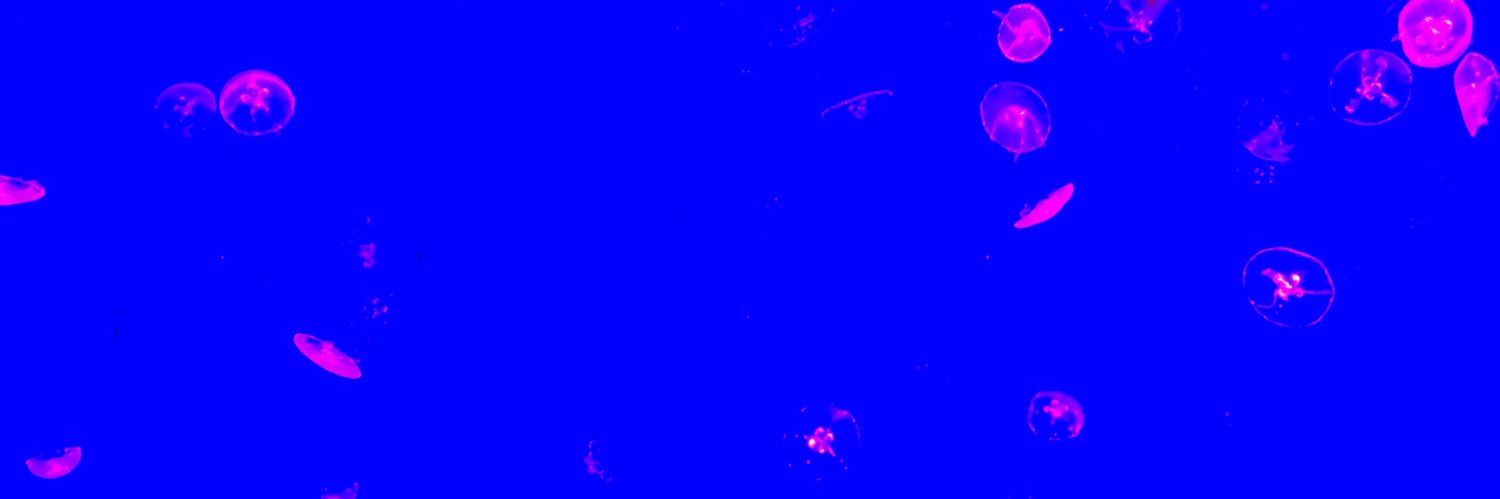 YAonanw's profile banner image
