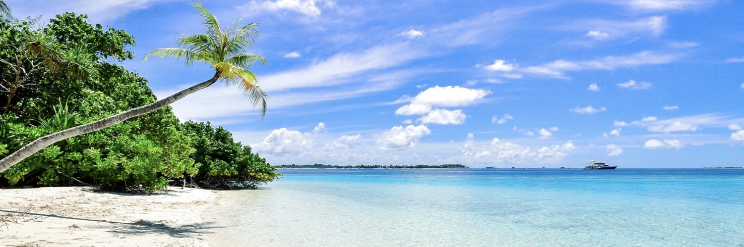 NiSEyewear's profile banner image