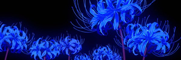 metori_cs Profile Banner