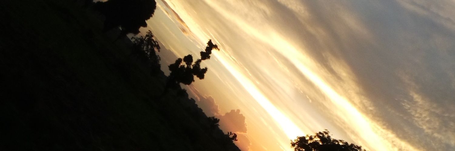 valar_mogulis ADD+ banner