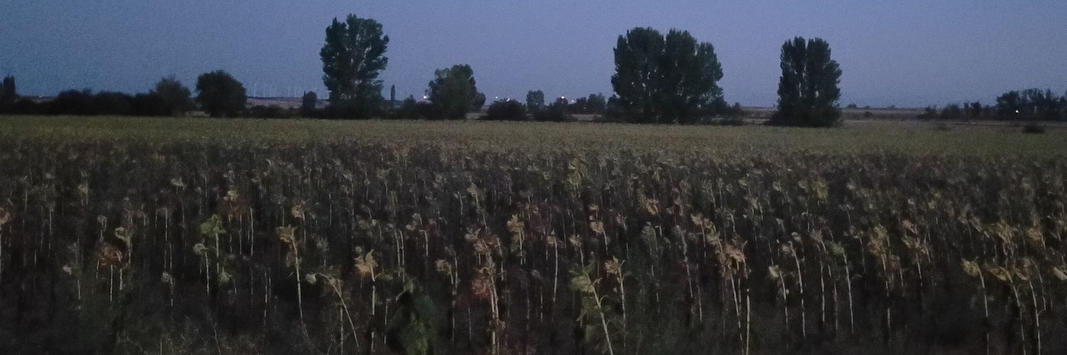 Jessica Marple banner