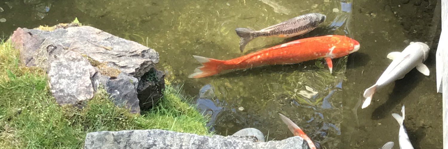 Carl Friedrichs, MD banner