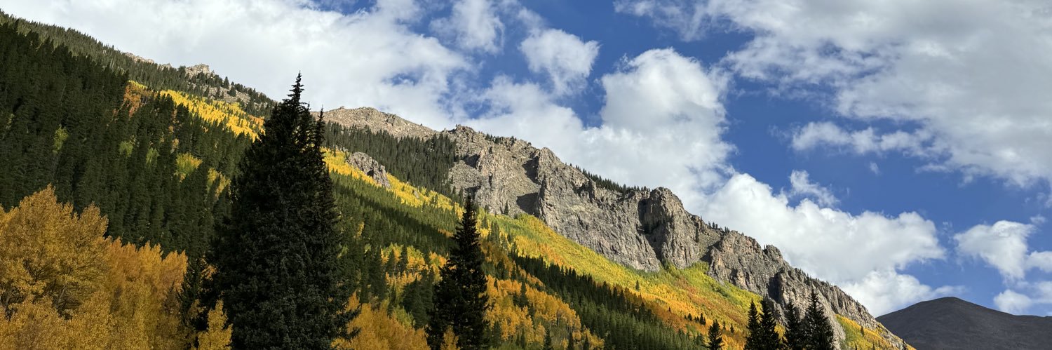 Jessica Allen banner