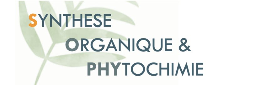 SOPhy Lab (Miesch) banner