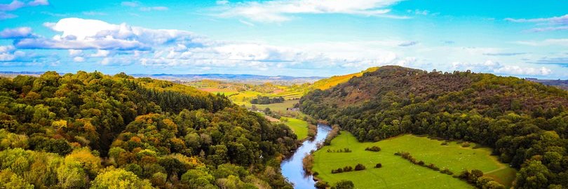 Monika Radclyffe banner