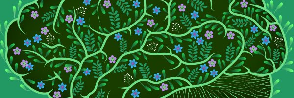 NatMentHealth Profile Banner
