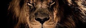 CGilean's profile banner image
