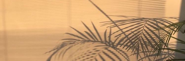 PAECELLO's profile banner image
