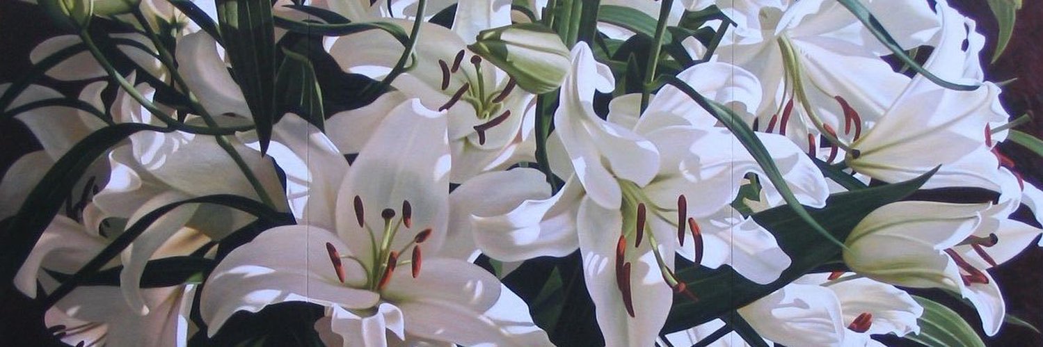 Haruki ᓀ‸ᓂ banner