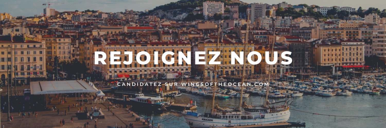 Wings of the Ocean banner