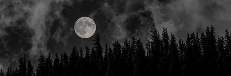 Felestino_'s profile banner image