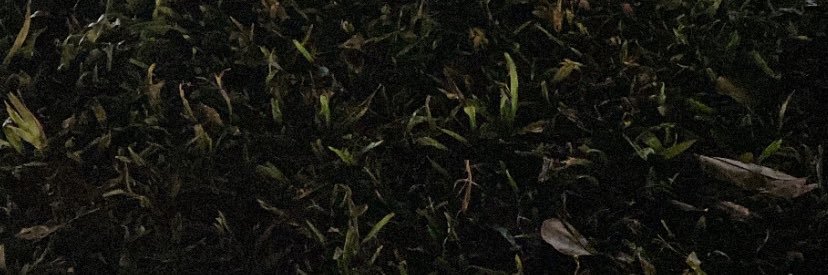 ‎ ‎ ‎ ‎ ‎ ‎ ‎ ‎ ‎ ‎ ‎ ‎1% banner