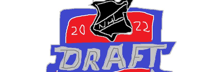 NHL Draft Bot banner