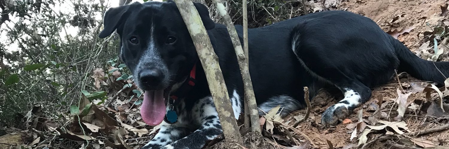 matty___ice4's profile banner image