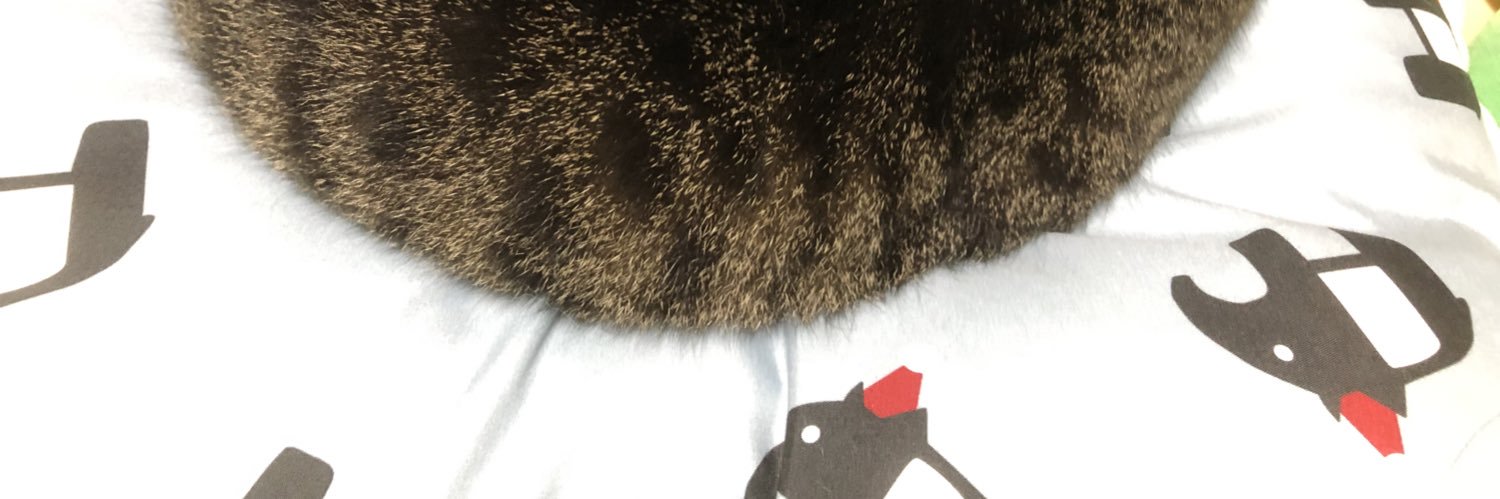 nixyaooooon's profile banner image