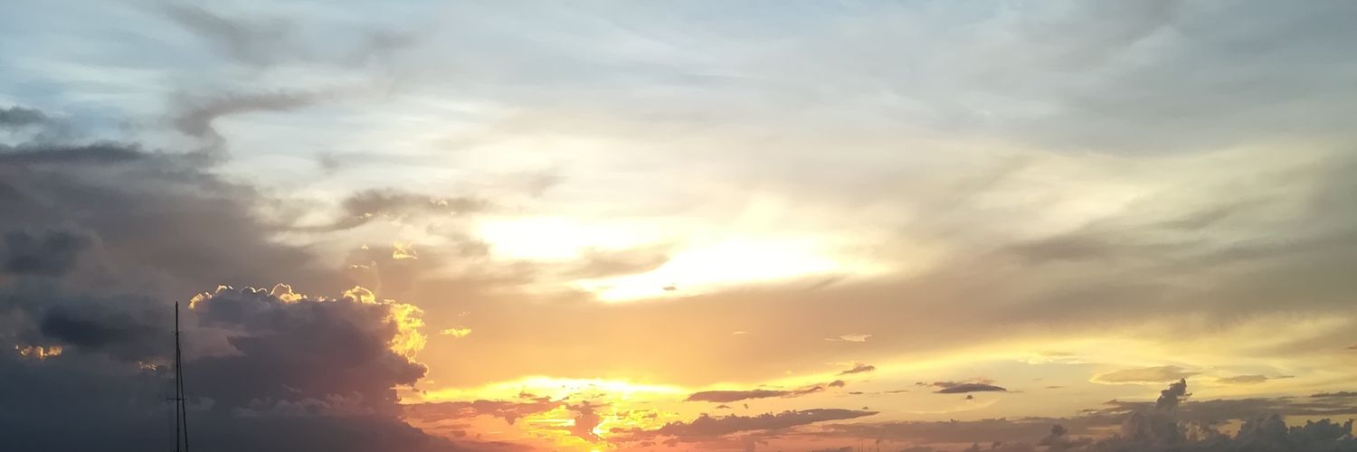 rossq_'s profile banner image