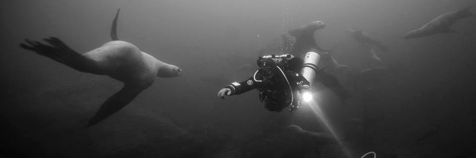 LizTribeDiving's profile banner image