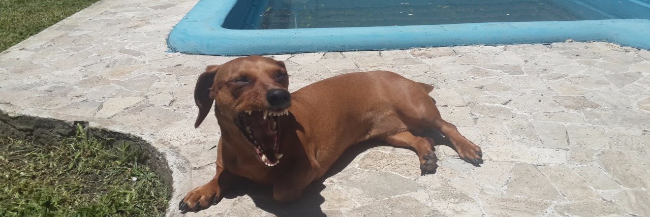 Gerónimo Oñativia banner