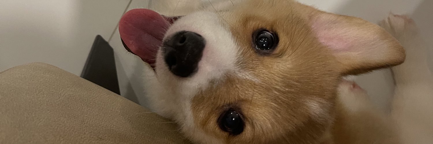jnbtrx's profile banner image