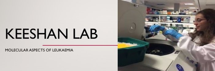 Keeshan Lab's banner