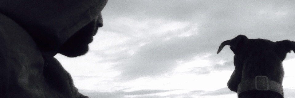 BehroozChipiona's profile banner image