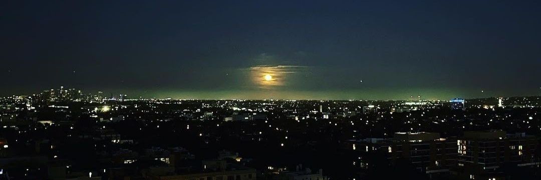 MMoonfood's profile banner image