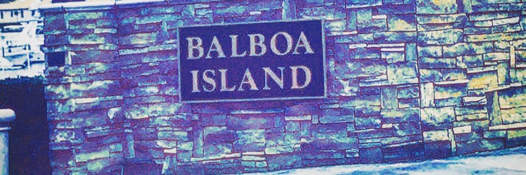 l banner