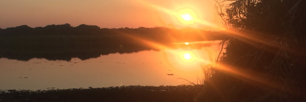 mayconsc_'s profile banner image