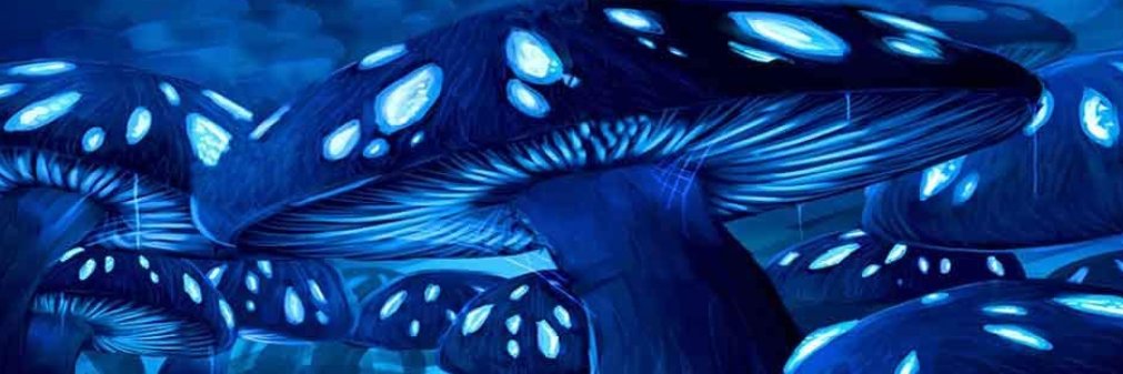 spnhim's profile banner image
