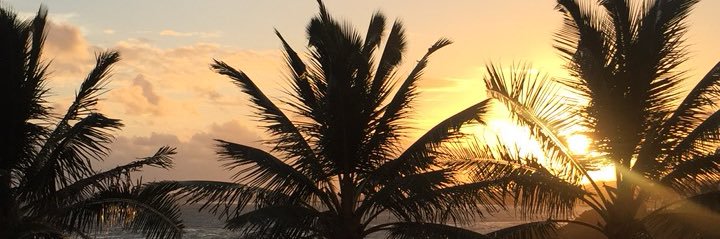 Margeaux85's profile banner image